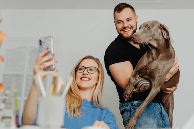 Så hjälpte vi Evidensia med att bygga global app (videosamtal med veterinärer)